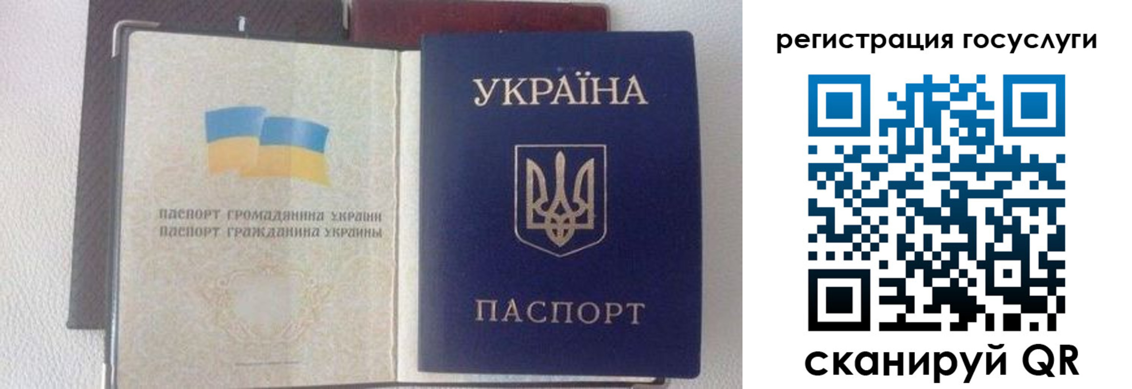прописка для работы в Павловске